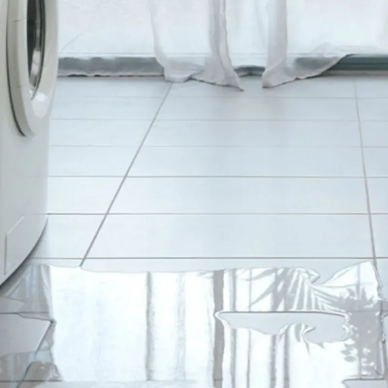 Appliance Leak Cleanup in Cowlitz County, WA