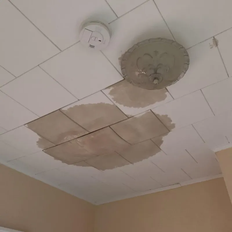 Ceiling Water Damage Repair in Cowlitz County, WA