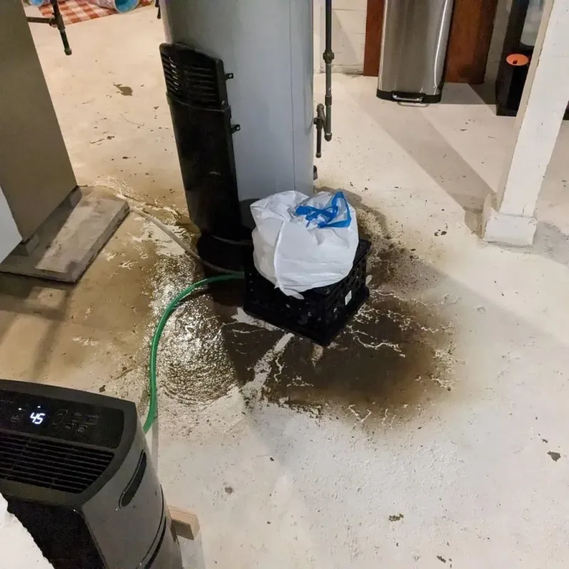 Sewage Backup Cleanup Service in Cowlitz County, WA